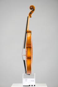 Violine