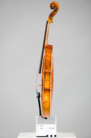 Violine