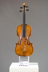 Violine