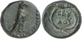 Thraker: Seuthes III.