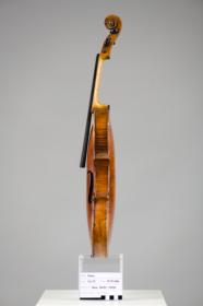 Violine