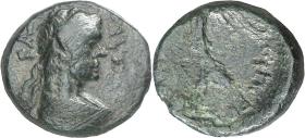 Thraker: Rhaeskuporis I.