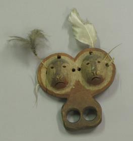 Walross Darstellung