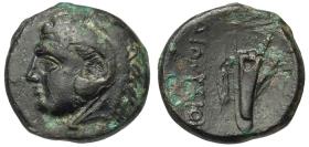 Herakleia Pontike