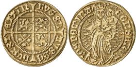 Pommern: Bogislav X.