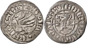 Pommern: Bogislav X.