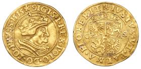 Polen: Sigismund I.
