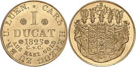 Braunschweig: Karl II.