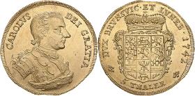 Braunschweig-Wolfenbüttel: Karl I.