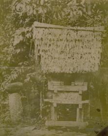 "A shrine and the stone chair of the god Angelle Kalish in Ngarupesang, Palau Ids."