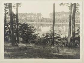 Waldsee