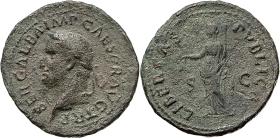 Galba