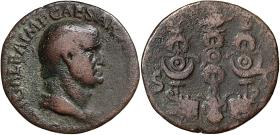 Galba