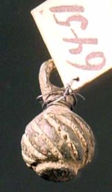 Bommel