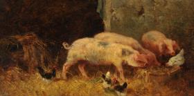 Schweinestall