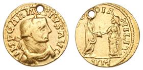 Carausius