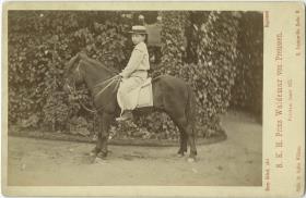 Porträt des Prinz Waldemar von Preußen