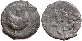 Alexandria: Augustus