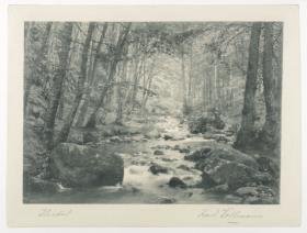 Ilsetal