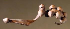 Fibel mit Knoten