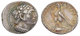 Ptolemäer: Ptolemaios V.