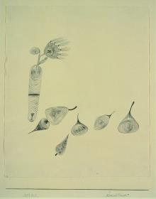 Blume und Fruechte