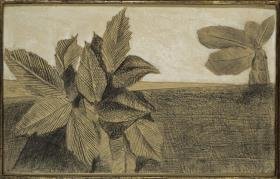 Feuilles
