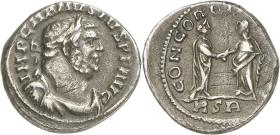 Carausius