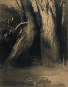 Deux arbres