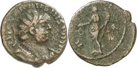 Carausius