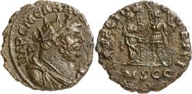 Carausius