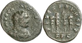 Carausius