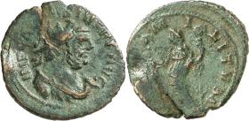 Carausius