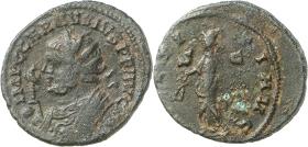 Carausius