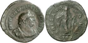 Carausius