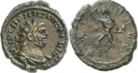 Carausius