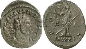 Carausius