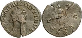 Carausius