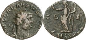 Carausius