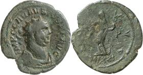 Carausius
