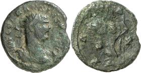 Carausius