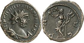 Carausius