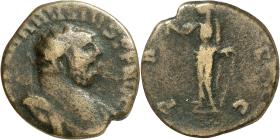 Carausius