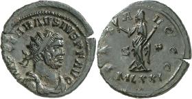 Carausius