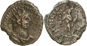 Carausius