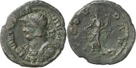Carausius
