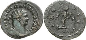 Carausius