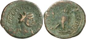 Carausius