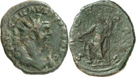 Carausius
