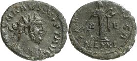 Carausius